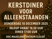 🎄 Kerstdiner voor Alleenstaanden 🎅